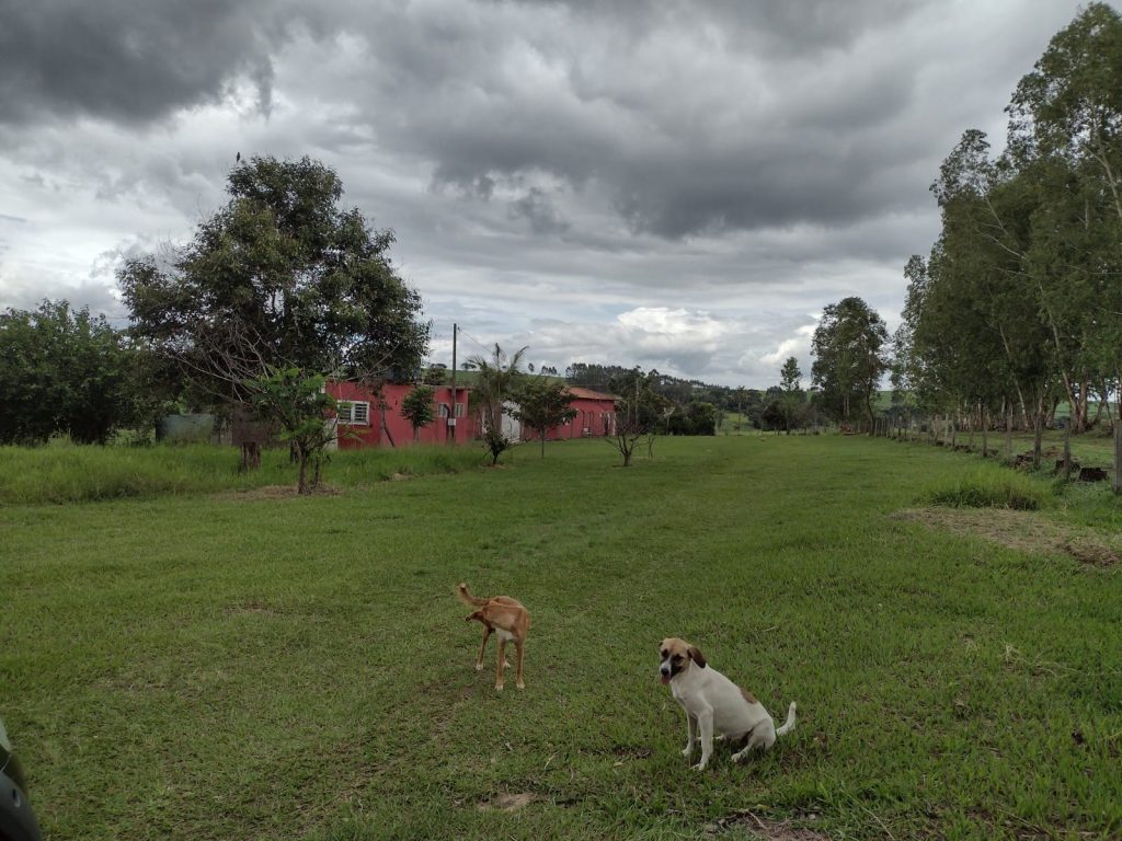 SÍtio Santa Rosa de Viterbo, SP