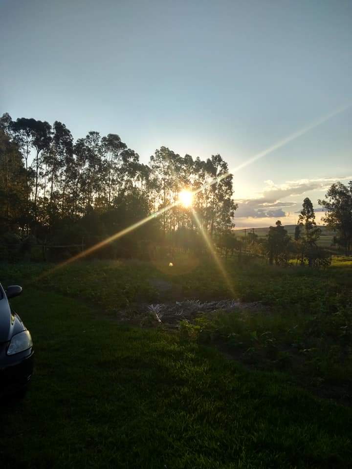 SÍtio Santa Rosa de Viterbo, SP