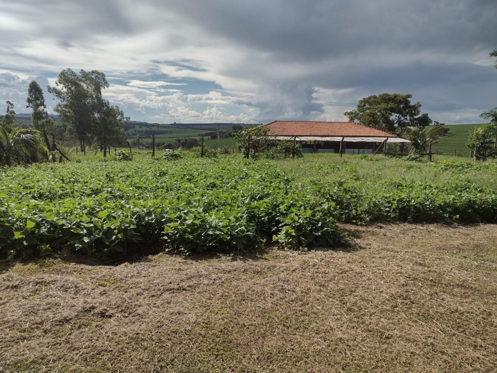 SÍtio Santa Rosa de Viterbo, SP