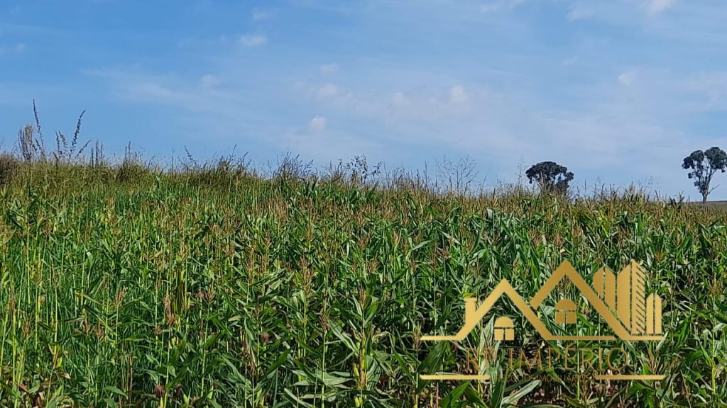 Fazenda/Sítio – São Pedro da União