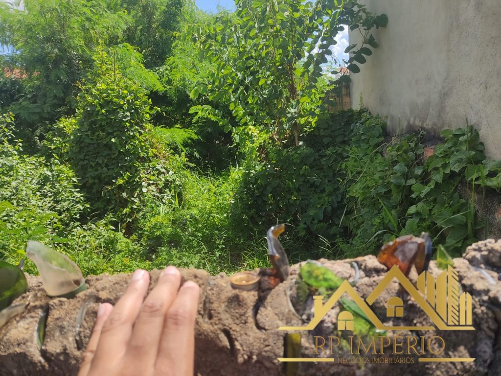 Terreno em avenida Parque dos Pinos