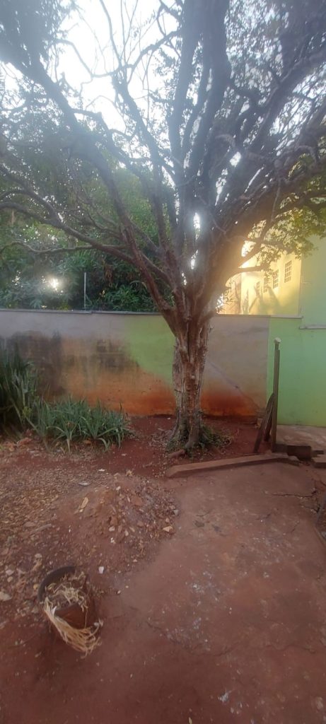 Casa com terreno amplo no bairro Campos Elíseos Casa com terreno amplo no bairro Campos Elíseos