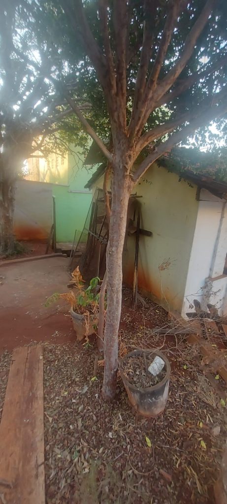 Casa com terreno amplo no bairro Campos Elíseos Casa com terreno amplo no bairro Campos Elíseos