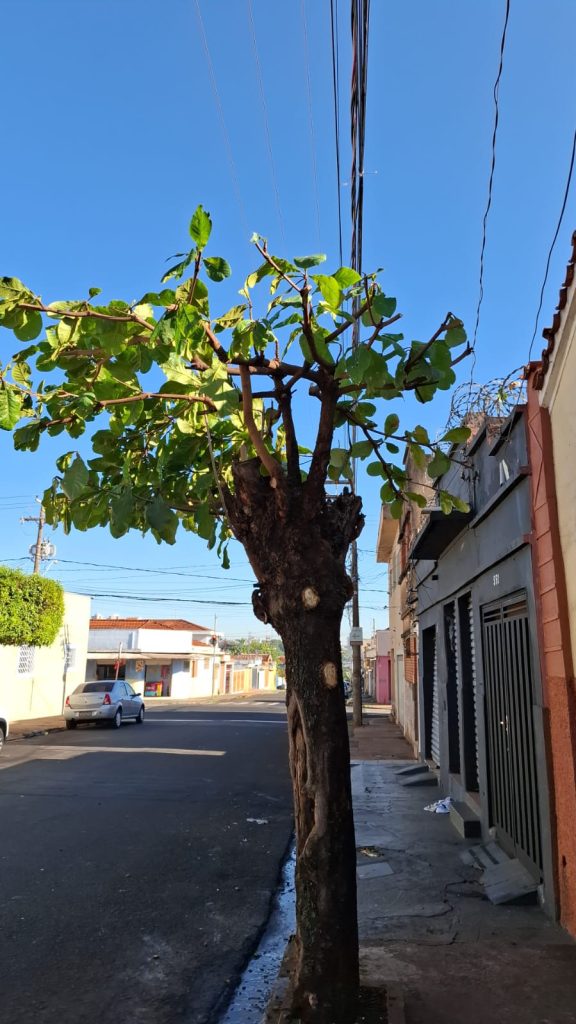 Casa Campos Elíseos