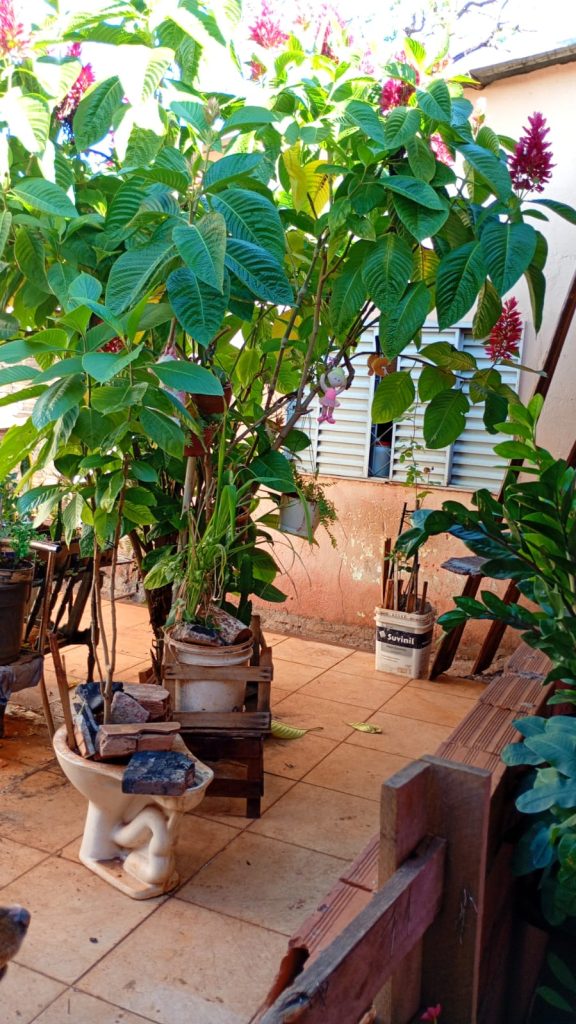 Casa – Jardim Maria Casa Grande Lopes