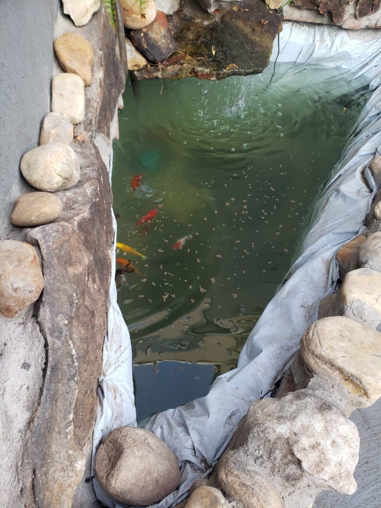 CASA RESIDENCIAL/ÁREA DE LAZER – RIBEIRÃO VERDE