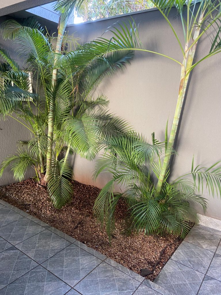 LINDA ÁREA DE LAZER PORTEIRA FECHADA