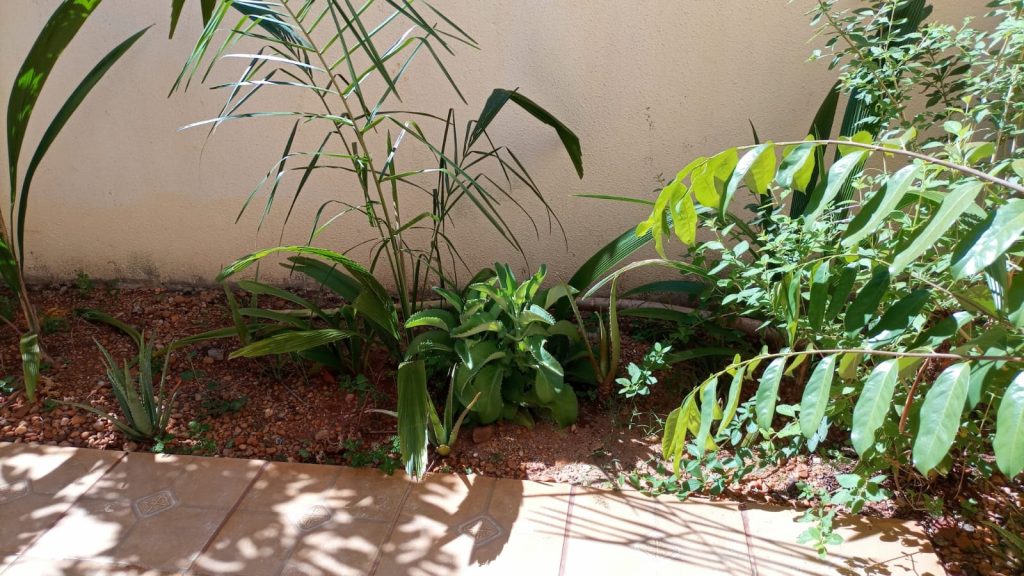 Casa Jardim Ouro Branco