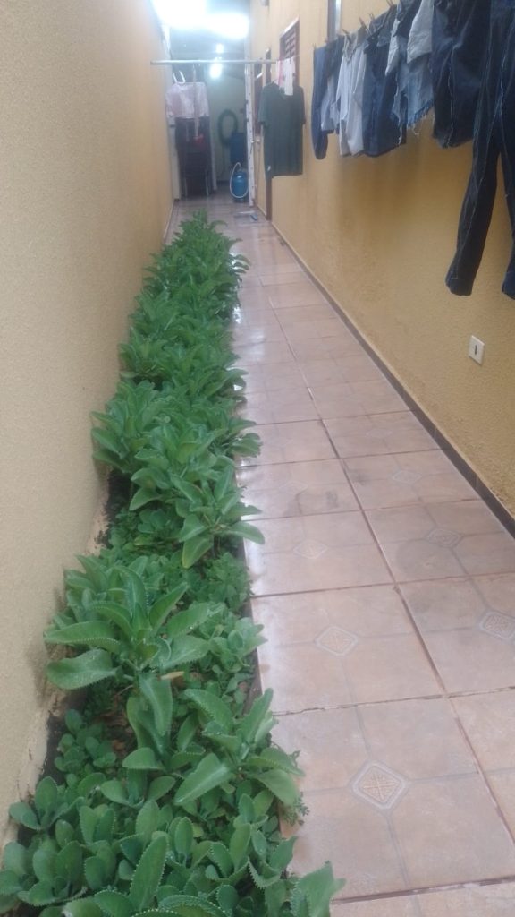 Casa Jardim Ouro Branco